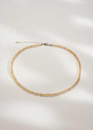 LION necklace