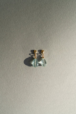 Earrings CANCER