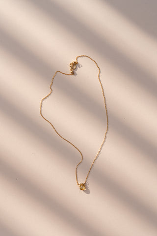 LION chain