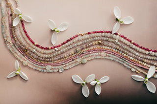 Jarní kolekce Primelle