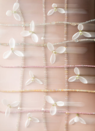 Jarní kolekce Primelle