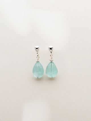 Earrings CANCER