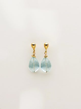 Earrings CANCER
